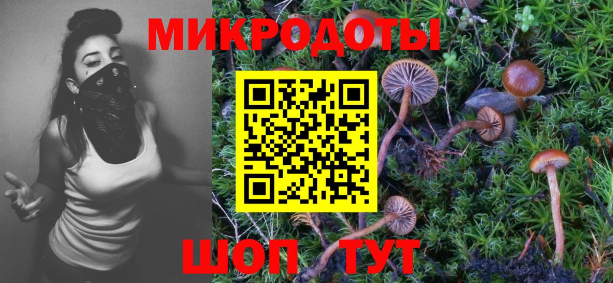 Псилоцибиновые грибы GOLDEN TEACHER Кингисепп