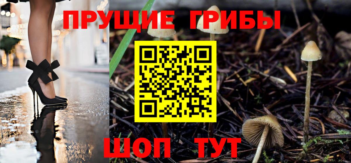 Галлюциногенные грибы Psilocybe  Псилоцибиновые грибы Psilocybine cubensis  Вход с VPN  Кингисепп 